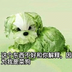 示例图片